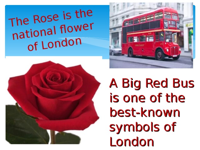 The Rose is the national flower of London A Big Red Bus is one of the best-known symbols of London 