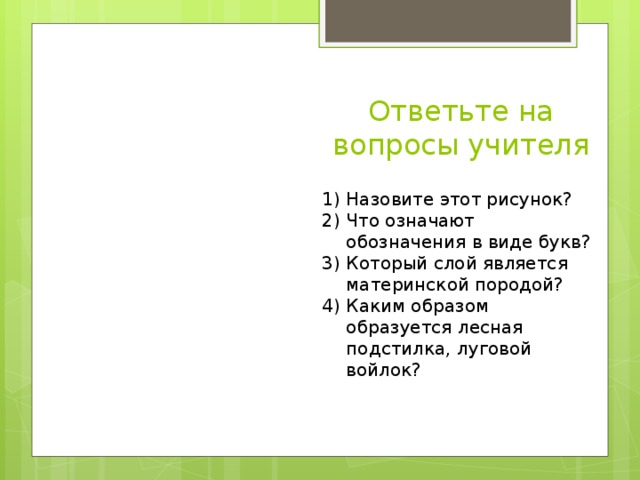 Ответьте на вопросы учителя Назовите этот рисунок? Что означают обозначения в виде букв? Который слой является материнской породой? Каким образом образуется лесная подстилка, луговой войлок? 