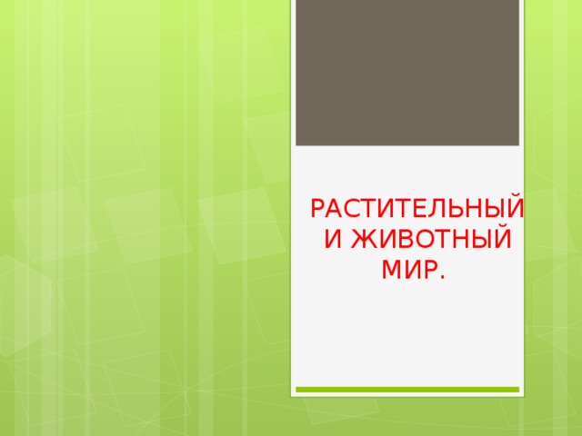 РАСТИТЕЛЬНЫЙ И ЖИВОТНЫЙ МИР. 
