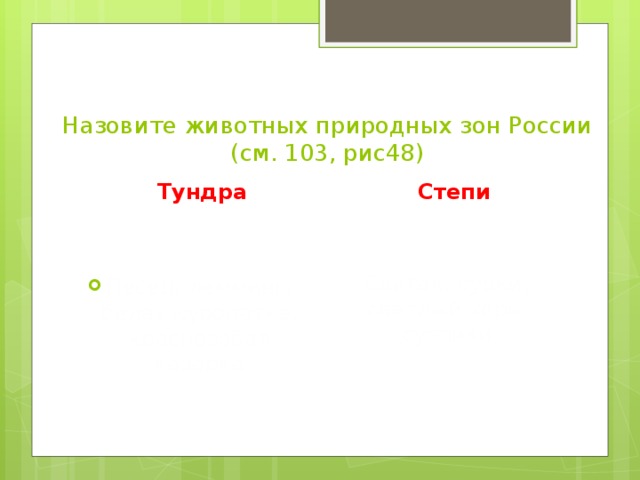 Назовите животных природных зон России  (см. 103, рис48) Тундра Степи Сайгак, сурки, светлый хорь, суслики Песец, лемминг, белая куропатка, краснозобая казарка 