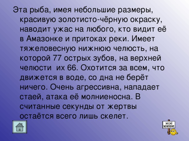 Эта рыба, имея небольшие размеры, красивую золотисто-чёрную окраску, наводит ужас на любого, кто видит её в Амазонке и притоках реки. Имеет тяжеловесную нижнюю челюсть, на которой 77 острых зубов, на верхней челюсти их 66. Охотится за всем, что движется в воде, со дна не берёт ничего. Очень агрессивна, нападает стаей, атака её молниеносна. В считанные секунды от жертвы остаётся всего лишь скелет.