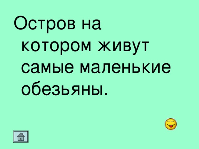 Остров на котором живут самые маленькие обезьяны.