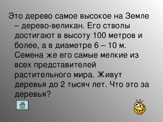Это дерево самое высокое на Земле – дерево-великан. Его стволы достигают в высоту 100 метров и более, а в диаметре 6 – 10 м. Семена же его самые мелкие из всех представителей растительного мира. Живут деревья до 2 тысяч лет. Что это за деревья?
