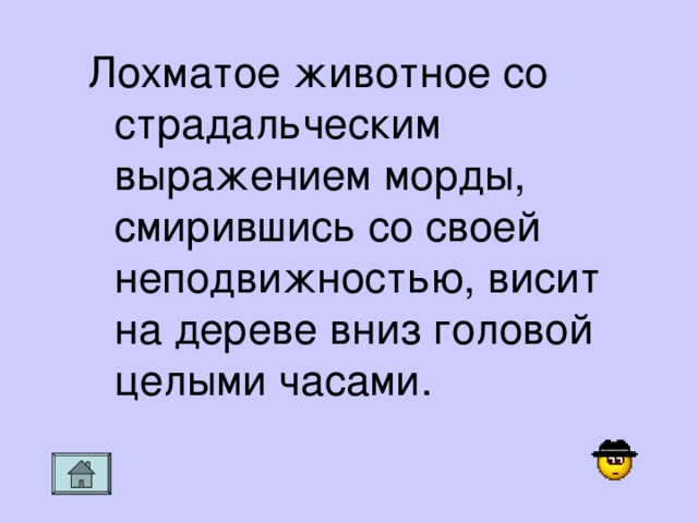 Лохматое животное со страдальческим выражением морды, смирившись со своей неподвижностью, висит на дереве вниз головой целыми часами.
