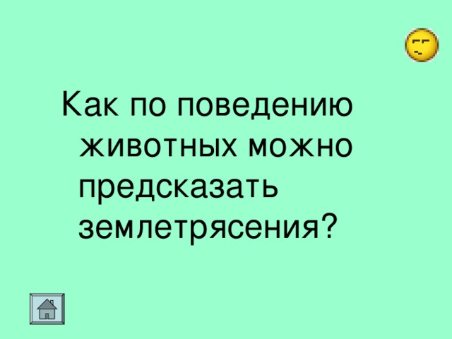 Как по поведению животных можно предсказать землетрясения?