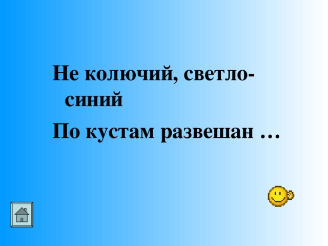 Не колючий, светло-синий По кустам развешан …