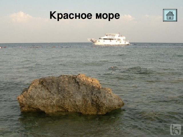 Красное море