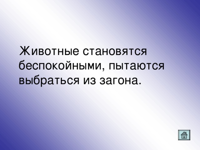 Животные становятся беспокойными, пытаются выбраться из загона.
