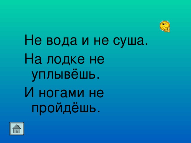 Не вода и не суша. На лодке не уплывёшь. И ногами не пройдёшь.