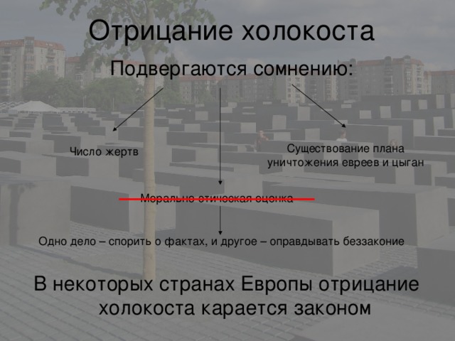 Для 11 класса. В некоторых странах Европы отрицание холокоста карается законом 