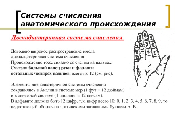 Системы счисления  анатомического происхождения Двенадцатеричная система счисления  Довольно широкое распространение имела двенадцатеричная система счисления. Происхождение тоже связано со счетом на пальцах. Считали большой палец руки и фаланги остальных четырех пальцев : всего их 12 (см. рис). Элементы двенадцатеричной системы счисления сохранились в Англии в системе мер (1 фут = 12 дюймам) и в денежной системе (1 шиллинг = 12 пенсам). В алфавите должно быть 12 цифр, т.к. цифр всего 10: 0, 1, 2, 3, 4, 5, 6, 7, 8, 9, то недостающий обозначают латинскими заглавными буквами A, B. 