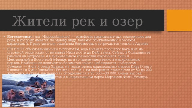 Жители рек и озер Бегемотовые  (лат. Hippopotamidae) — семейство парнокопытных, содержащее два рода, в которых имеется по одному виду: бегемот обыкновенный и бегемот карликовый. Представители семейства бегемотовых встречаются только в Африке.  БЕГЕМОТ обыкновенный или гиппопотам, еще в начале прошлого века жил на огромной территории от низовьев Нила почти до Кейптауна. Сейчас в большинстве районов он истреблен и в значительном количестве сохранился лишь в Центральной и Восточной Африке, да и то преимущественно в национальных парках. Наибольшее количество бегемотов сейчас наблюдается по берегам Семлики — Нила и озера Эдуард, на территориях национальных парков Киву (Конго Киншаса) и Куин-Элизабет (Уганда), где на 1 км побережья приходится от 50 до 200 животных, а общая численность определяется в 25 000—30 000. Очень высока плотность населения бегемотов и в национальном парке Мерчисон-Фолс (Уганда). 