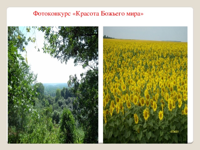 Фотоконкурс «Красота Божьего мира» 