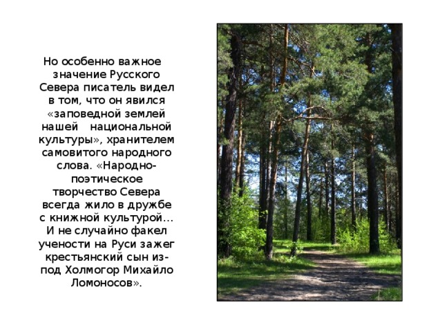Но особенно важное значение Русского Севера писатель видел в том, что он явился «заповедной землей нашей  национальной культуры», хранителем самовитого народного слова. «Народно-поэтическое творчество Севера всегда жило в дружбе с книжной культурой…И не случайно факел учености на Руси зажег крестьянский сын из-под Холмогор Михайло Ломоносов». 