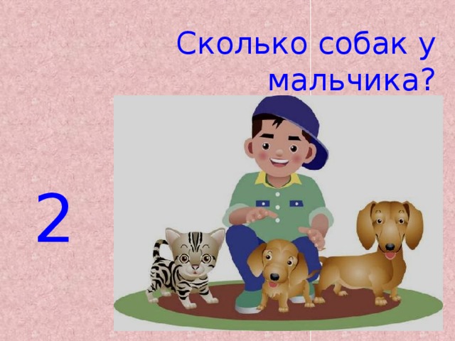 Сколько собак у мальчика? 2 