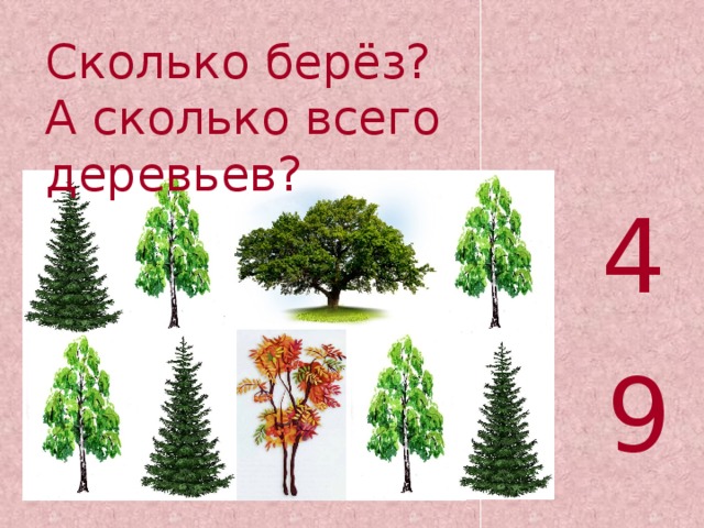 Сколько берёз? А сколько всего деревьев? 4 9 