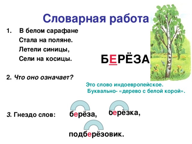 Текст ветер и береза. Словарная работа береза. Словарное слово береза в картинках. Словаонон слово бер. Словарное слово береза 2 класс.