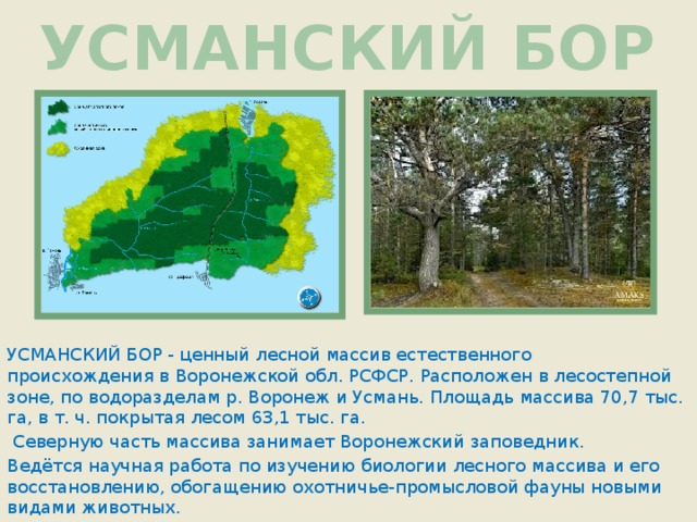 Карта воронежского заповедника