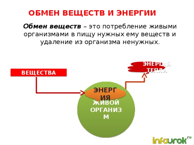 ОБМЕН ВЕЩЕСТВ И ЭНЕРГИИ Обмен веществ –  это потребление живыми организмами в пищу нужных ему веществ и удаление из организма ненужных. ЭНЕРГИЯ ТЕПЛА ВЕЩЕСТВА ЖИВОЙ ОРГАНИЗМ ЭНЕРГИЯ 