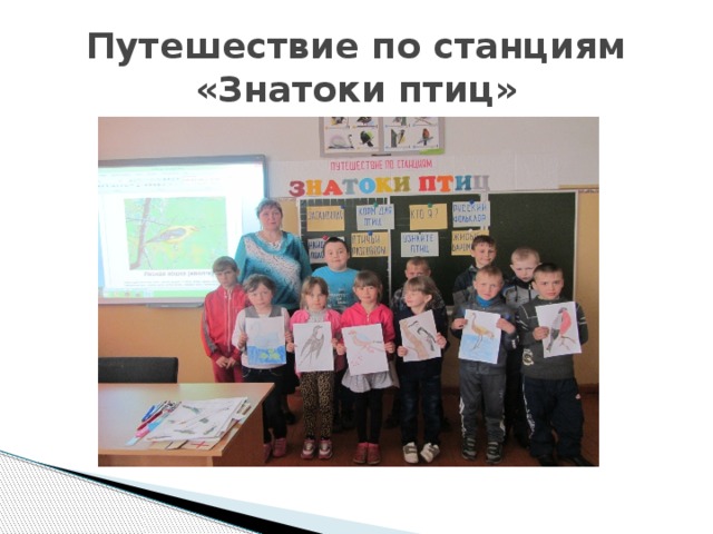 Путешествие по станциям «Знатоки птиц» 