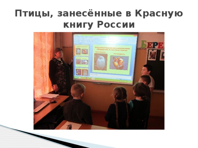 Птицы, занесённые в Красную книгу России 