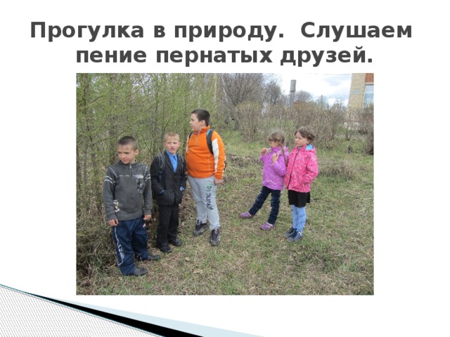 Прогулка в природу. Слушаем пение пернатых друзей. 