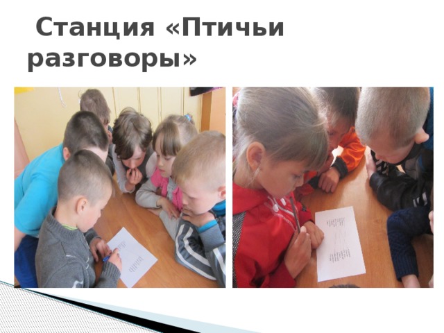  Станция «Птичьи разговоры» 