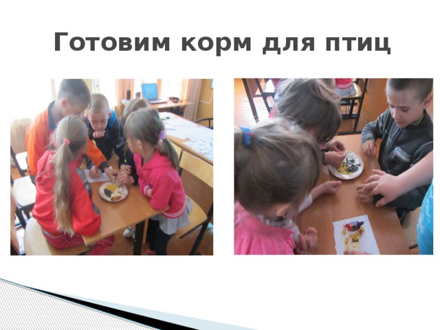  Готовим корм для птиц 