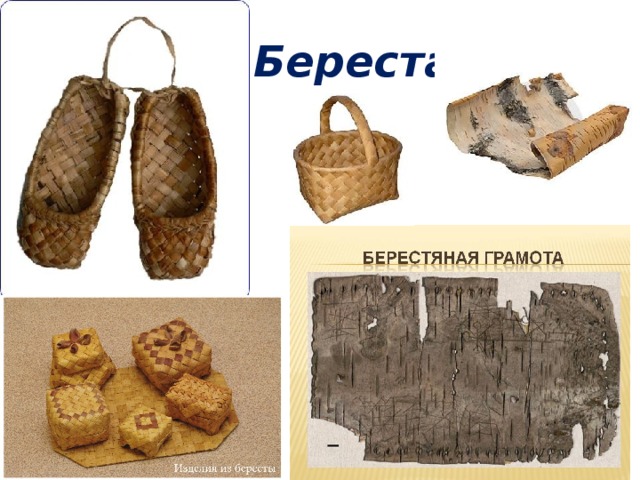 Береста 