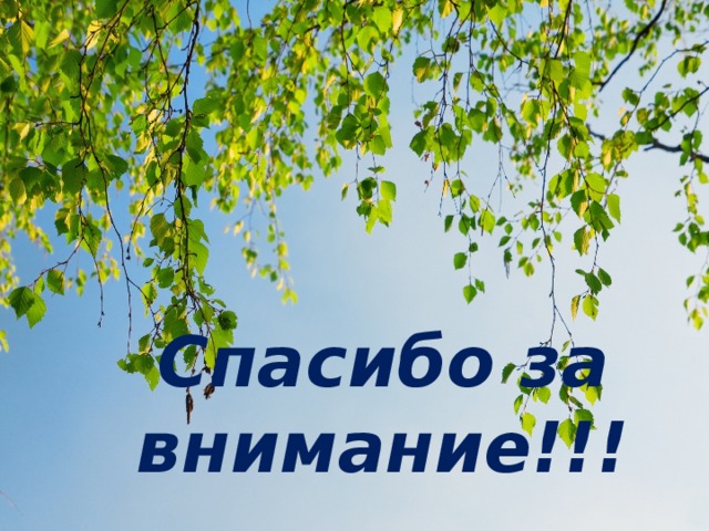 Спасибо за внимание!!! 