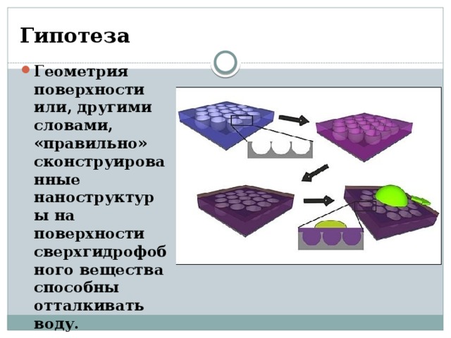 Гипотеза Геометрия поверхности или, другими словами, «правильно» сконструированные наноструктуры на поверхности сверхгидрофобного вещества способны отталкивать воду. 