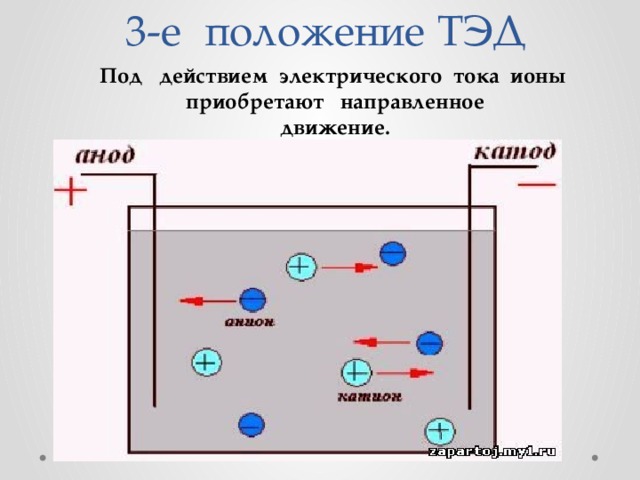 3-е  положение  ТЭД Под действием электрического тока ионы приобретают направленное движение. 