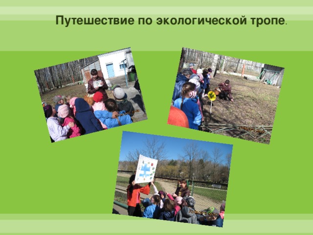 Путешествие по лесным тропинкам. Экологическое путешествие презентация. Путешествие по экологической тропинке. Презентация путешествие по экологической тропе. Экологическое путешествие презентация.