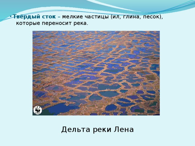 Твёрдый сток – мелкие частицы (ил, глина, песок),  которые переносит река. Дельта реки Лена 