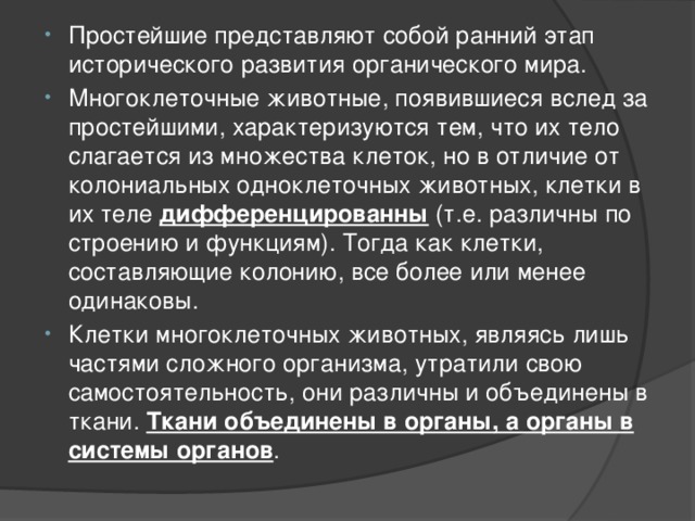 Простейшие представляют собой ранний этап исторического развития органического мира. Многоклеточные животные, появившиеся вслед за простейшими, характеризуются тем, что их тело слагается из множества клеток, но в отличие от колониальных одноклеточных животных, клетки в их теле дифференцированны (т.е. различны по строению и функциям). Тогда как клетки, составляющие колонию, все более или менее одинаковы. Клетки многоклеточных животных, являясь лишь частями сложного организма, утратили свою самостоятельность, они различны и объединены в ткани. Ткани объединены в органы, а органы в системы органов . 