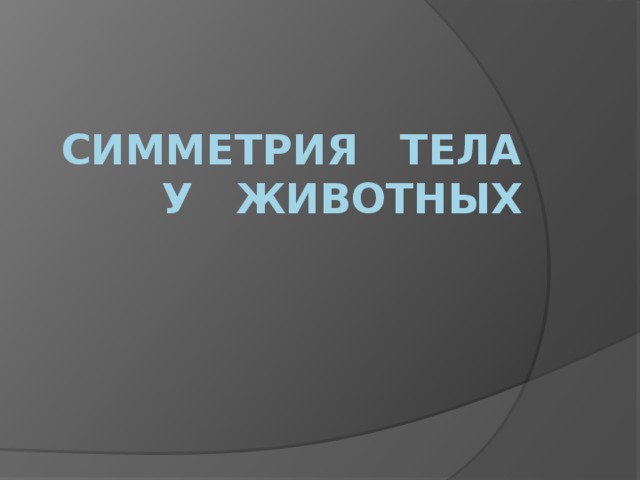 СИММЕТРИЯ ТЕЛА  У ЖИВОТНЫХ 