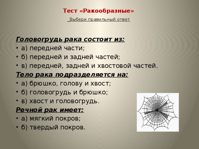 Паук вечером примета в зале