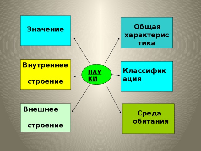 Значение   Общая характеристика                              Внутреннее строение  Классификация  ПАУКИ Внешнее строение   Среда  обитания
