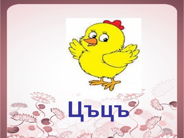  Цъцъ 