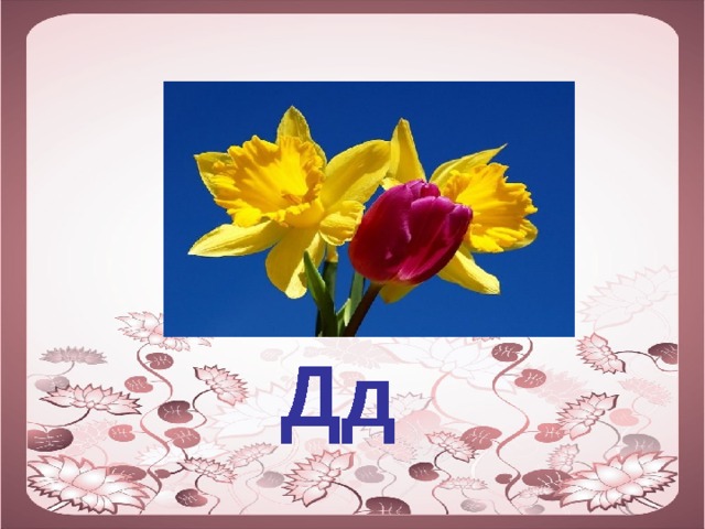  Дд 