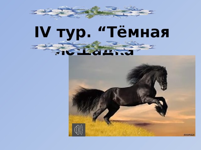 IV тур. “Тёмная лошадка”