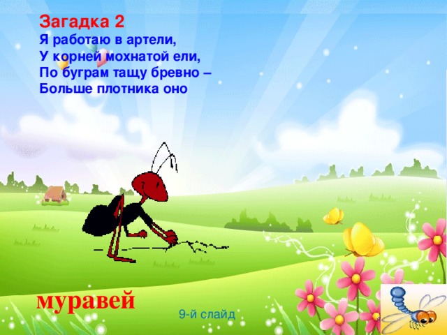 Загадка 2  Я работаю в артели,  У корней мохнатой ели,  По буграм тащу бревно –  Больше плотника оно муравей 9-й слайд 