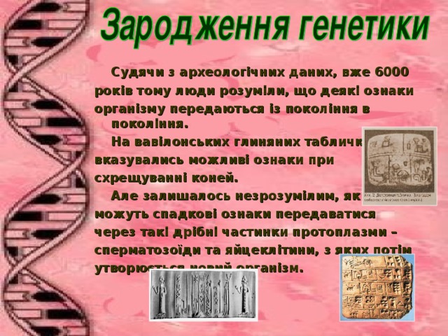  Судячи з археологічних даних, вже 6000 років тому люди розуміли, що деякі ознаки організму передаються із покоління в покоління.  На вавілонських глиняних табличках вказувались можливі ознаки при схрещуванні коней.  Але залишалось незрозумілим, як можуть спадкові ознаки передаватися через такі дрібні частинки протоплазми – сперматозоїди та яйцеклітини, з яких потім утворюється новий організм. 