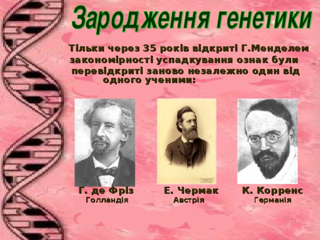  Т і льк и через 35 років  відкриті  Г. Менделем  законом і рност і  успадкування ознак б у ли пере відкриті заново неза лежно  один від одного уч е н и ми:                  Г. де Фр і з Е . Чермак К. Корренс   Голланд і я  Австр і я Германія   