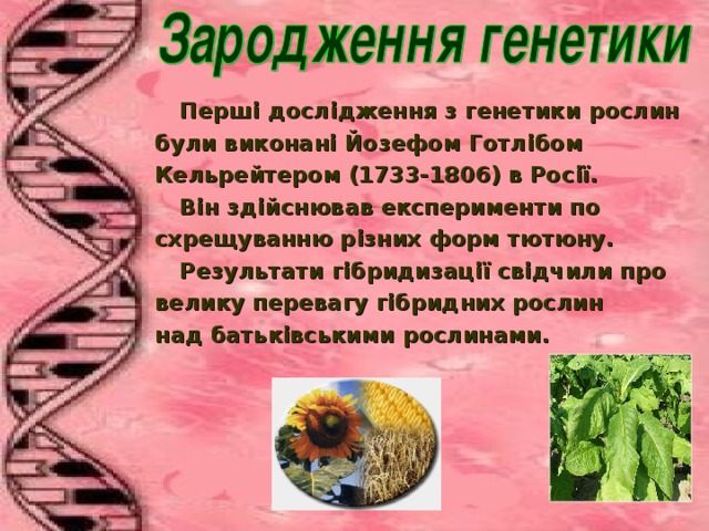  Пер ші дослідження з генетики р ослин  б у ли в иконані  Й озефом Готл і бом Кельрейтером (1733-1806) в Рос ії .  Він здійснював експерименти по схрещуванню різних форм тютюну.  Результати гібридизації свідчили про велику перевагу гібридних рослин над батьківськими рослинами.  