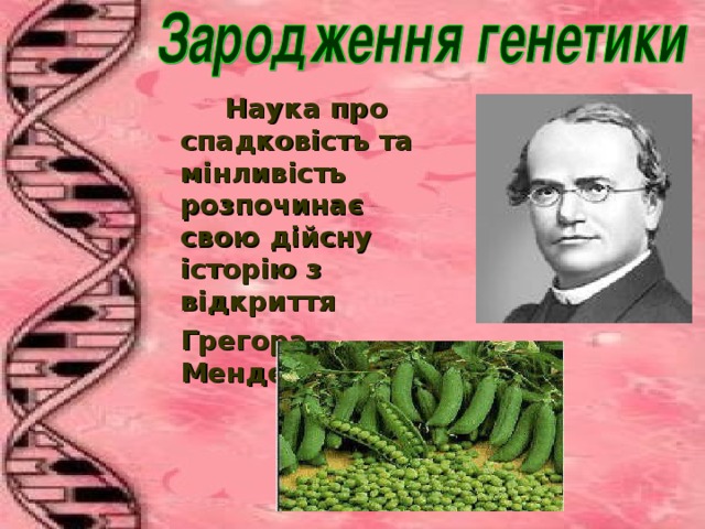    Наука пр о спадковість та мінливість розпочинає свою дійсну і стор і ю з відкриття  Грегора Менделя.   