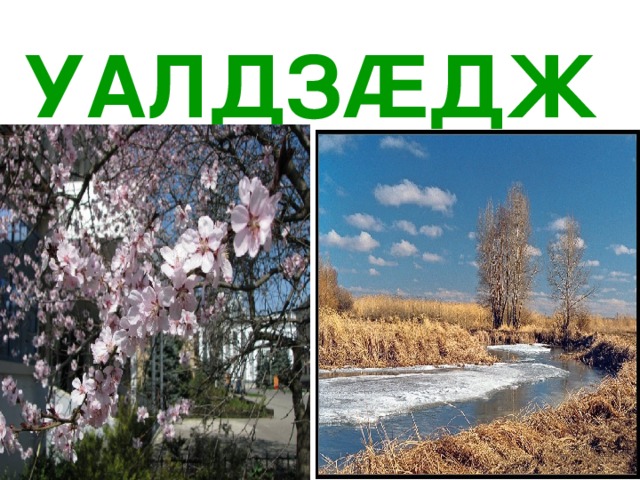 УАЛДЗ Æ ДЖЫ 