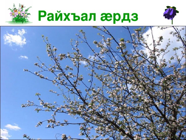  Райхъал æ рдз 