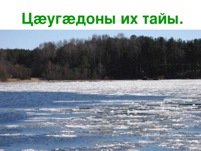  Ц æ у г æ доны их тайы. 