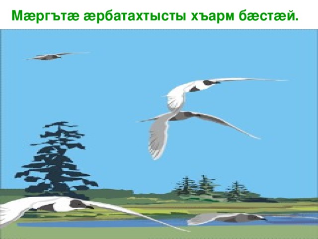  М æ ргът æ  æ рбатахтысты хъарм б æ ст æ й. 